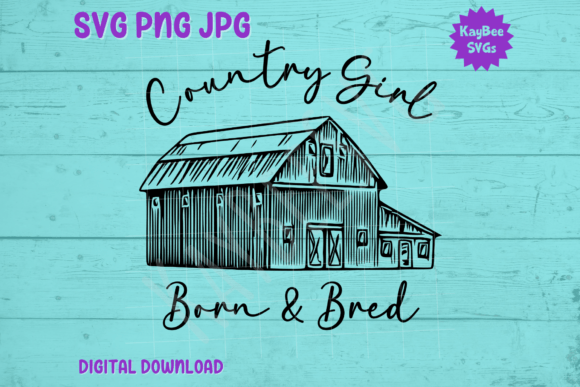 The Country Girl Born Raised Barn Design: A Designer's Review